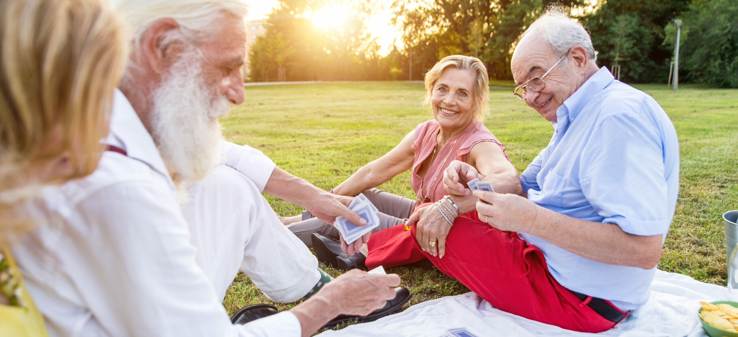 Group of seniors making a picnic at the park and having fun.