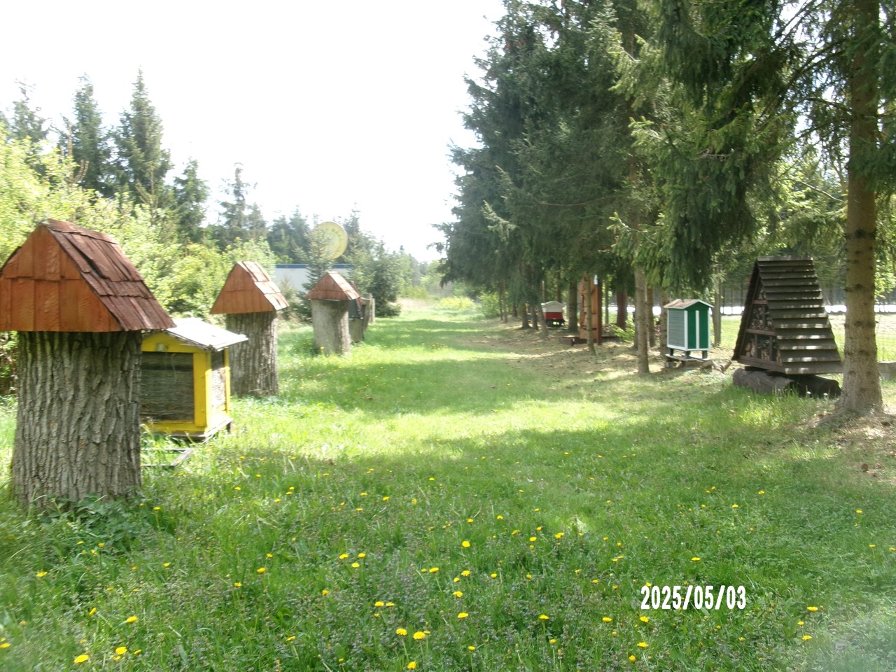 Bartnicy